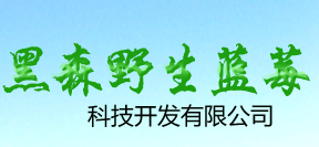 大兴安岭黑森野生蓝莓科技开发有限公司
